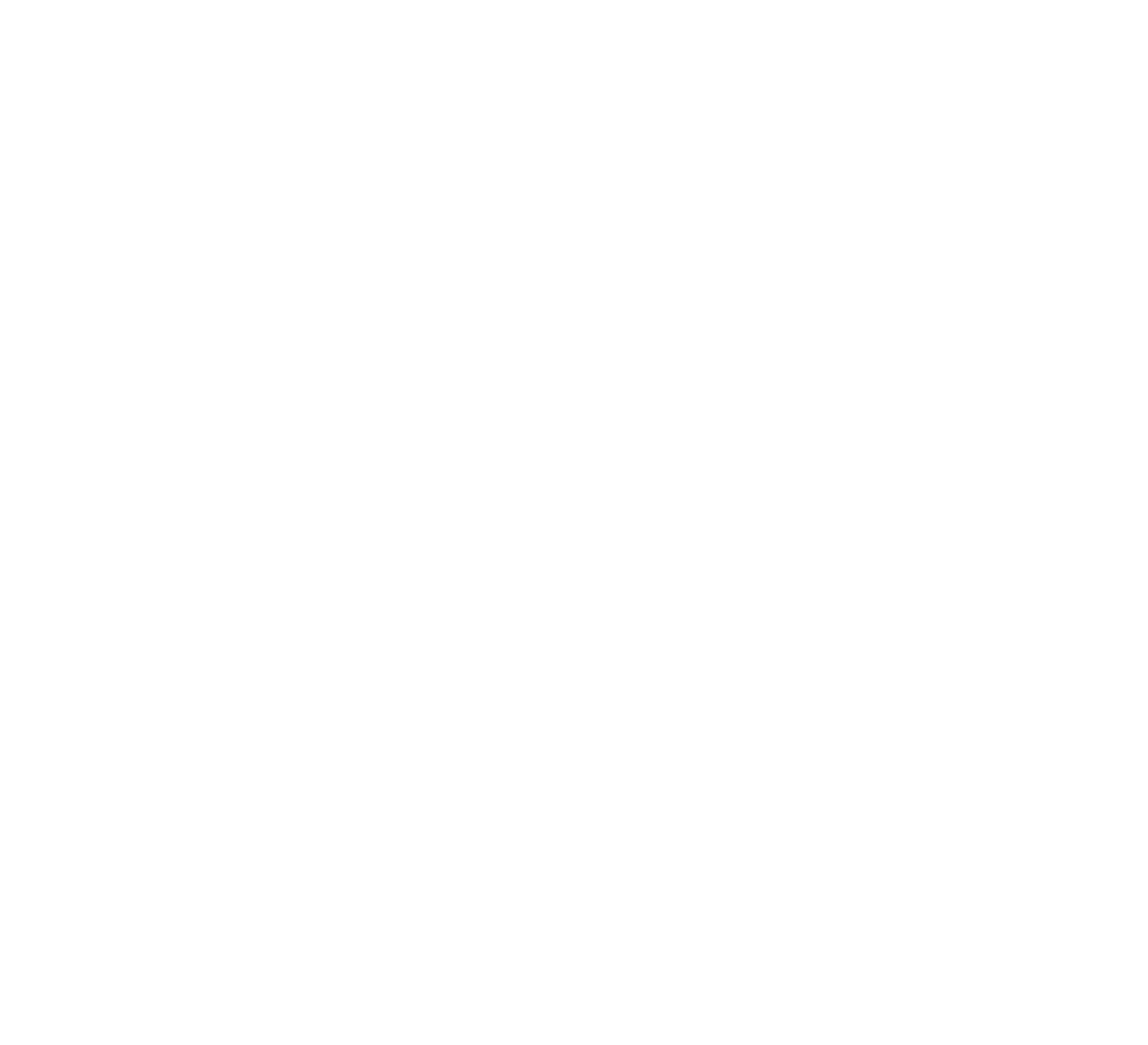 PCM — Professional Crisis Management